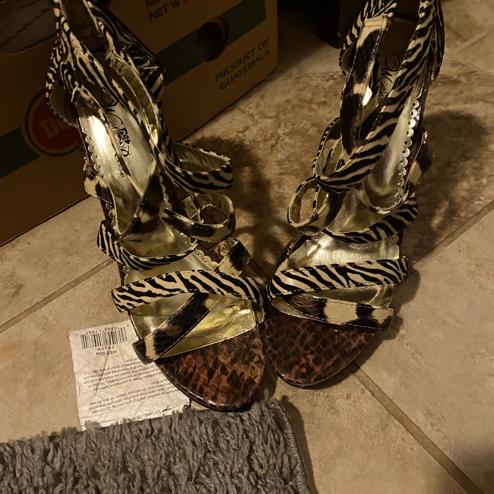 Size 8.5 Wild Rose “Tiger Stripe “stiletto heels